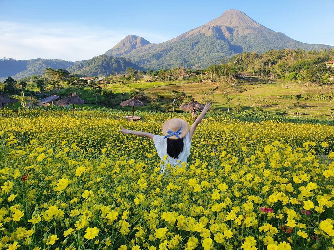 Kampung Organik Brenjonk